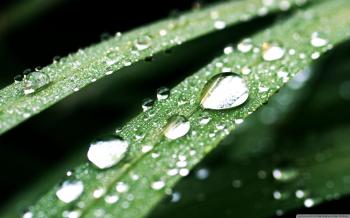 Water Drops Macro ❤ 4K HD Desktop Wallpaper for 4K Ultra HD TV ...