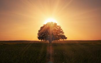 Wallpaper nature, beautiful scene, magic sunrise, grass field ...