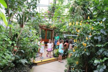 Magic Wings Has Butterflies And More - Ride CT & Ride New England
