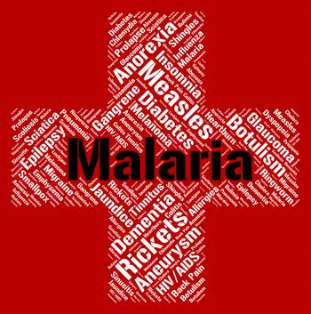 Malaria Word Shows Ill Health And Disability