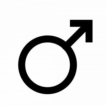 Male - Wikipedia