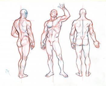 Male Model Drawing at GetDrawings.com | Free for personal use Male ...