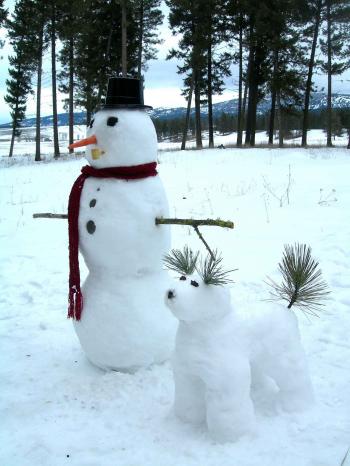 Corinne Madias - Real Estate Agent in Novi, MI | Snowman, Snow and ...