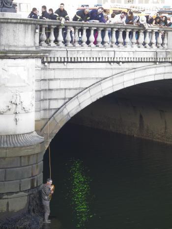 Man rescues pet rabbit from River Liffey 03-07-2011