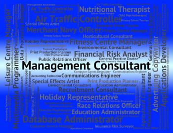 Management Consultant Represents Career Authority And Experts