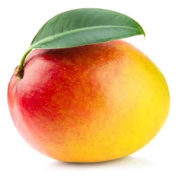 Image - Mango.jpg | Animal Jam Wiki | FANDOM powered by Wikia