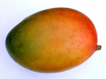 mango fruit food skin texture green orange | Jessica and Chris ...