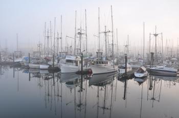 Marina - Wikipedia