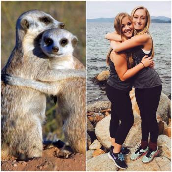 Sorority Girls Posing Like Meerkats Meme | POPSUGAR Tech