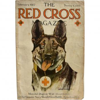 The Red Cross Magazine February 1917 ~ "Merciful Dogs Of War" : The ...