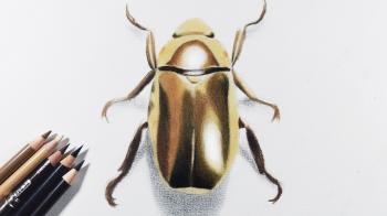 How to draw gold / metallic object with colored pencils -- A golden ...