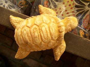 Mexican craft turtle