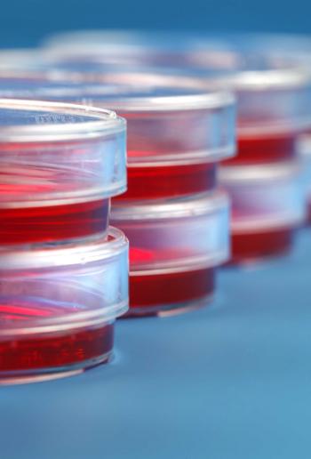 Microbiology – Salvus Global