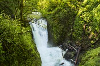 Middle Oneonta Falls, Oregon