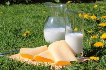 Milk and Cheese Picnic