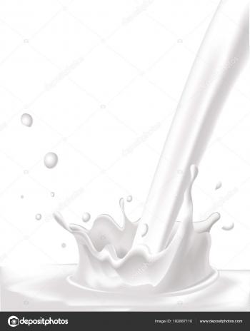 white vector milk splash on white background — Stock Vector ...