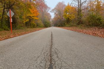 Misty Fall Road - HDR