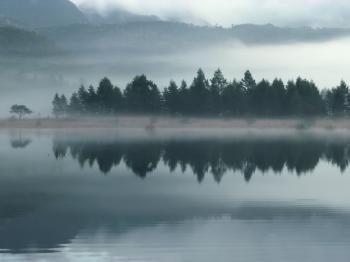 Misty 6313 - Landscapes - Landscape scenery | Misty landscapes ...