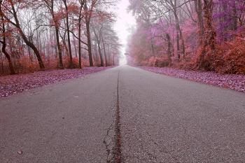 Misty Wonderland Road - HDR