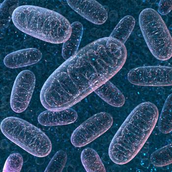Mitochondria behind blood cell formation