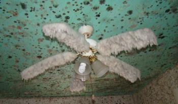 Dry Ice Mold Remediation and Removal - Basement Solutions