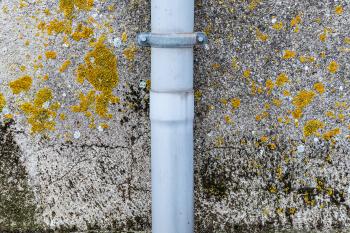 How Mold Affects Different Building Materials in your Home