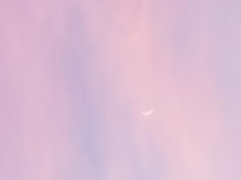 Moon sliver in pink sky