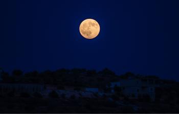 The Moonlit Night — Steemit