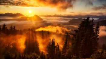 SizzleBird - Morning Light - YouTube