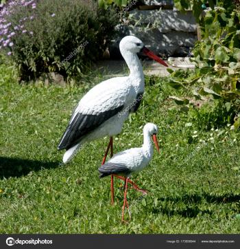 Morning Walk Stork City Park Stork Meeting You Park — Stock Photo ...