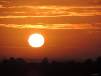 this morning. sun (6 minutes) – Gill McGrath