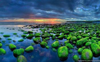 Moss covered rocks on a beach in Iceland - Imgur