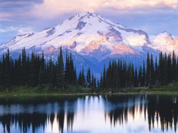 Images - mountains and trees.jpg - Angela Mellis