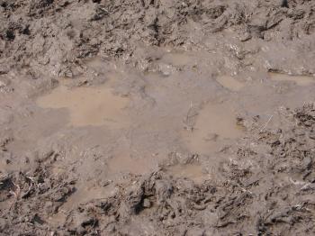 Muddy Water Puddle 3 by FantasyStock on DeviantArt