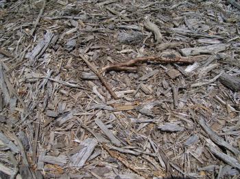 Mulch over dried