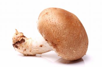 Hirano Mushroom | Shiitake and Wild Mushrooms