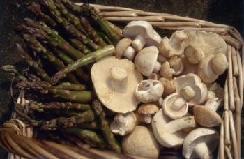 Mushrooms and Sour Cream Recipe