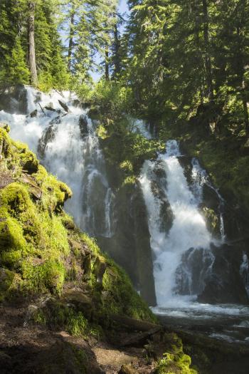 National Creek Falls, Oregon