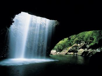 Natural Bridge, Springbrook National Park - Attraction - Queensland