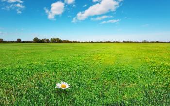 Look Good In a Bikini: 5 Easy Ways to Natural Beauty – Folk Fest