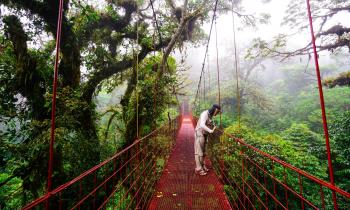 Ideas about Nature