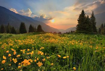 Wilderness Therapy | 20 Years of Trusted Care | Second Nature ...