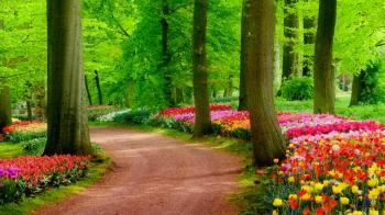 Wallpaper Hd Nature - BDFjade
