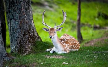 Nature Club Surat