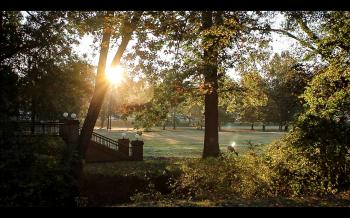 Relaxing Early Morning Nature Soundscape - YouTube