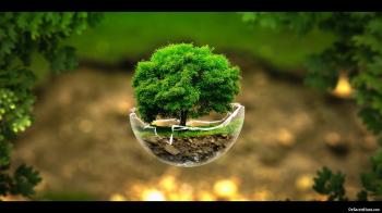 Personal Transformation Through Relationships with Nature Allies ...
