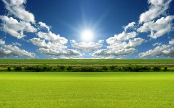 Nature Wallpaper 26203 2560x1600 px ~ HDWallSource.com