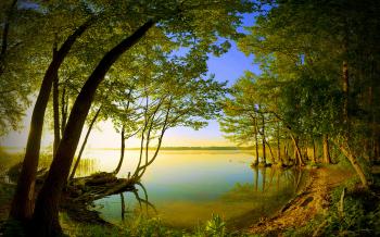 Nature Wallpaper - www.opendesktop.org