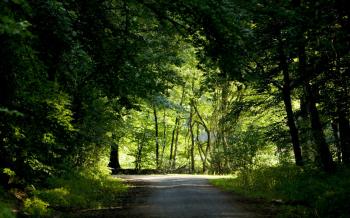 These are our nature backgrounds including some beaches and some falls!