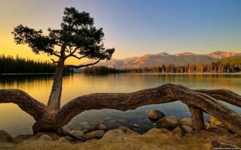 nature background hd download - nature background hd download HD ...